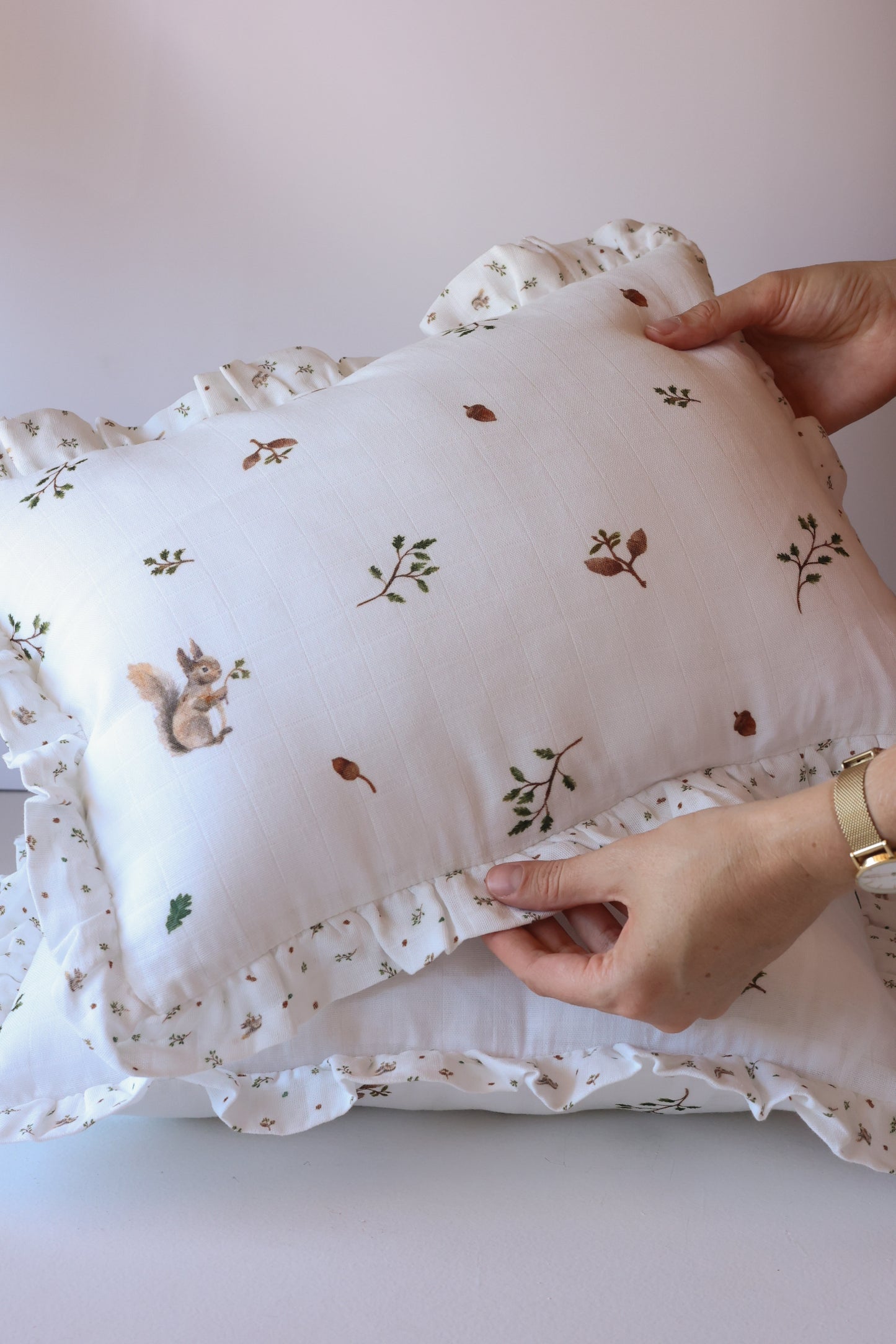 Squirrel cushion