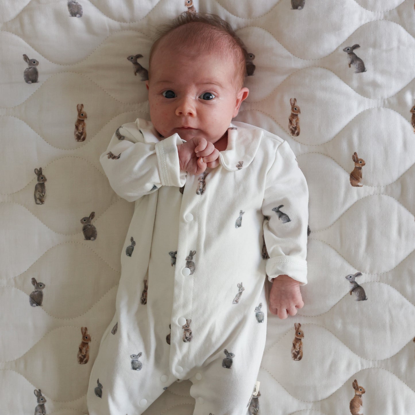 Newborn bundle - Bunny