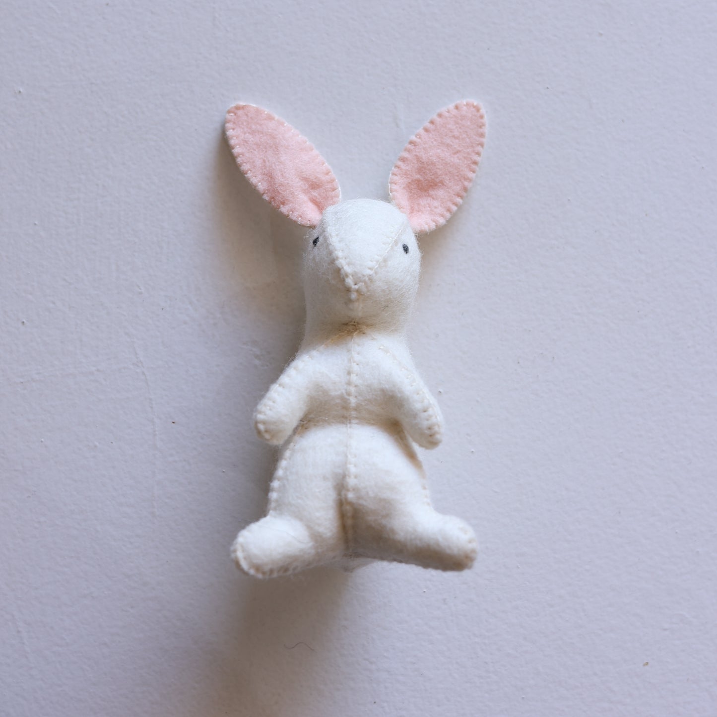 Little bunny
