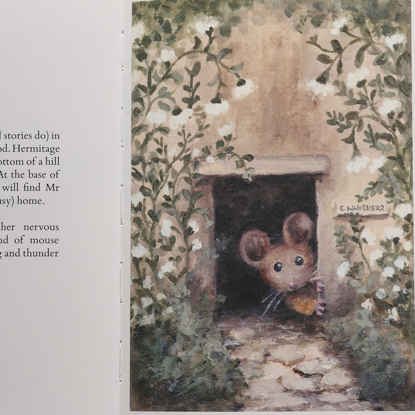 Mr Whiskers Finds His Whiskers | Hardcover Storybook