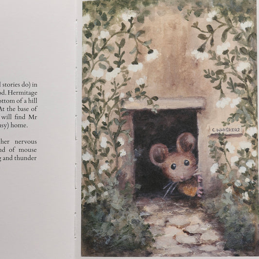 Mr Whiskers Finds His Whiskers | Hardcover Storybook