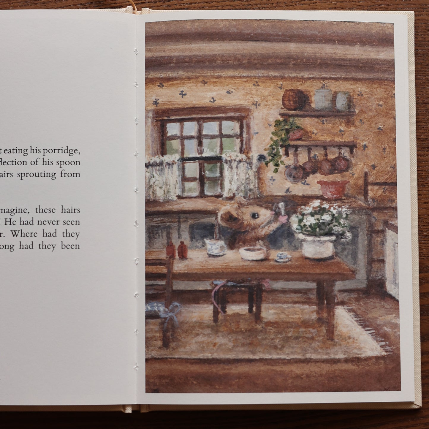 Mr Whiskers Finds His Whiskers | Hardcover Storybook