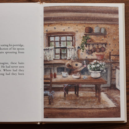 Mr Whiskers Finds His Whiskers | Hardcover Storybook