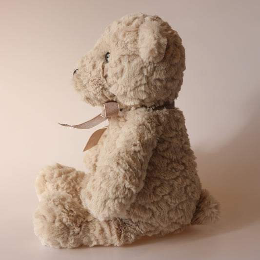 Teddy Bear Plushie