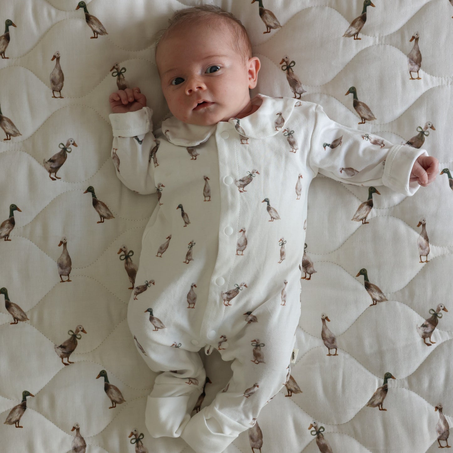 Duck Babygrow