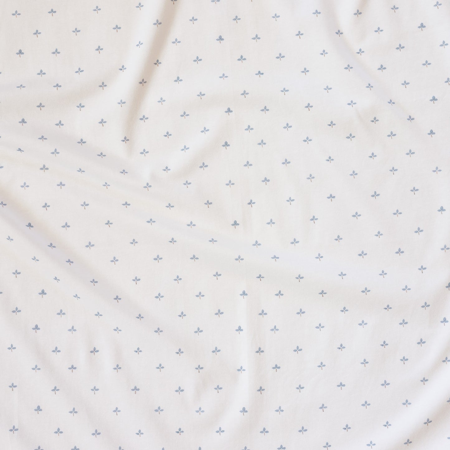 Stretch Wrap - Blue Clover