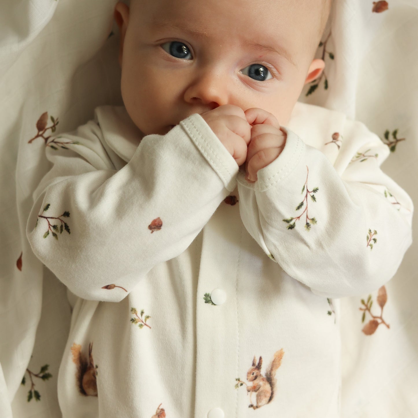 Squirrel Babygrow