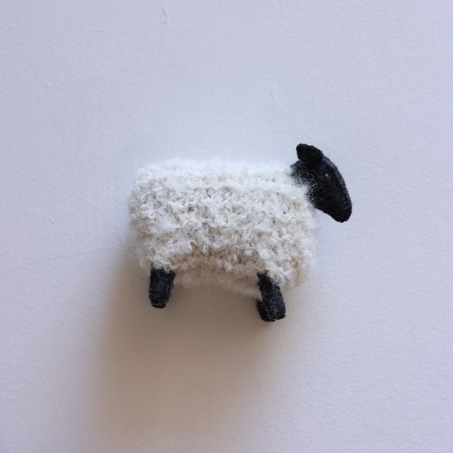 Little sheep