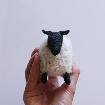 Little sheep