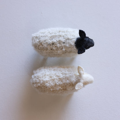 Little sheep