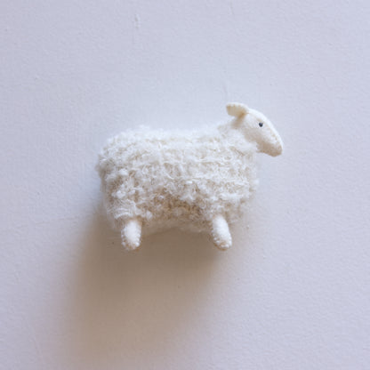 Little sheep