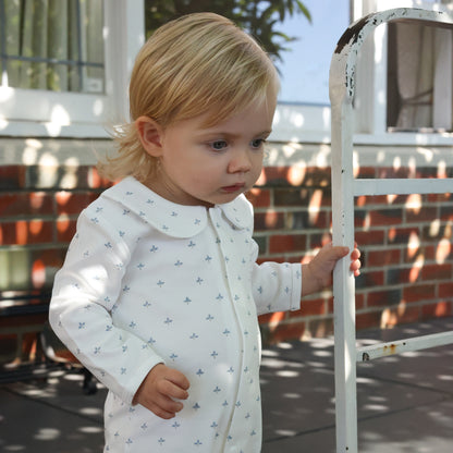 Cotton Babygrow - Blue Clover