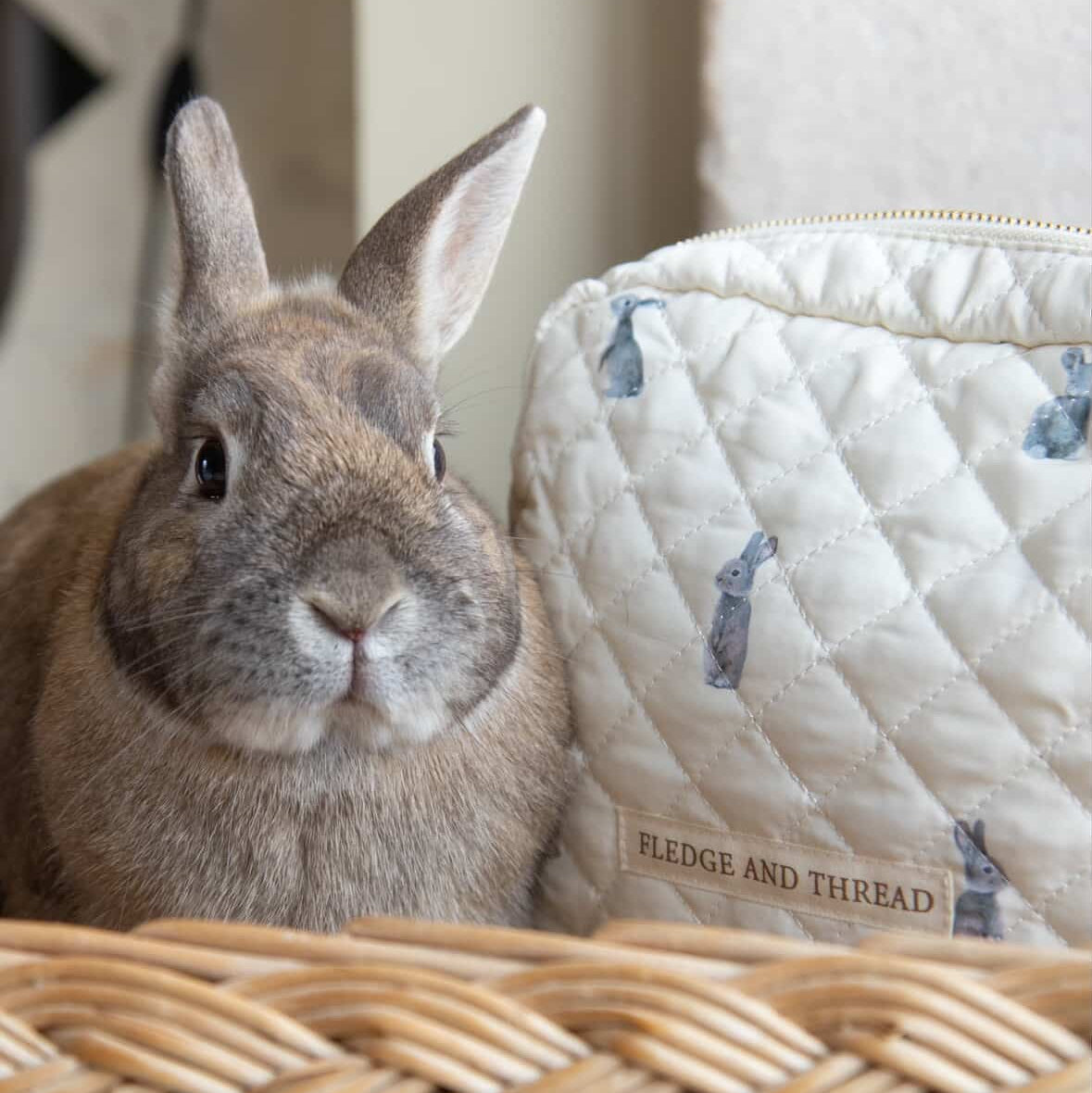 Quilted change bag - Bunny
