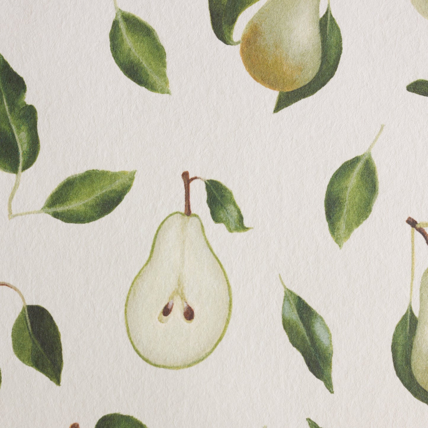 'Pears' wallpaper roll