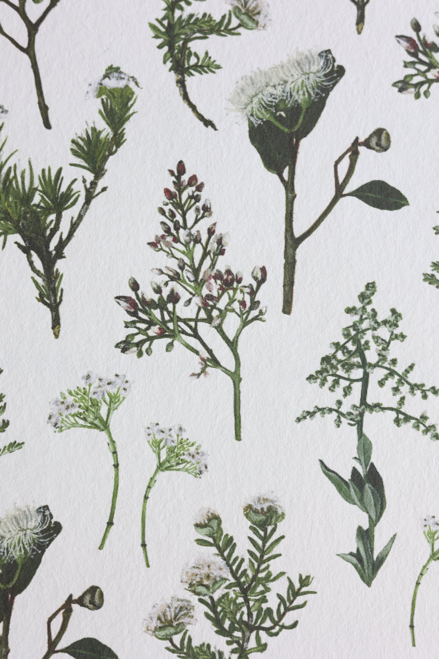 'Wildflowers' wallpaper roll