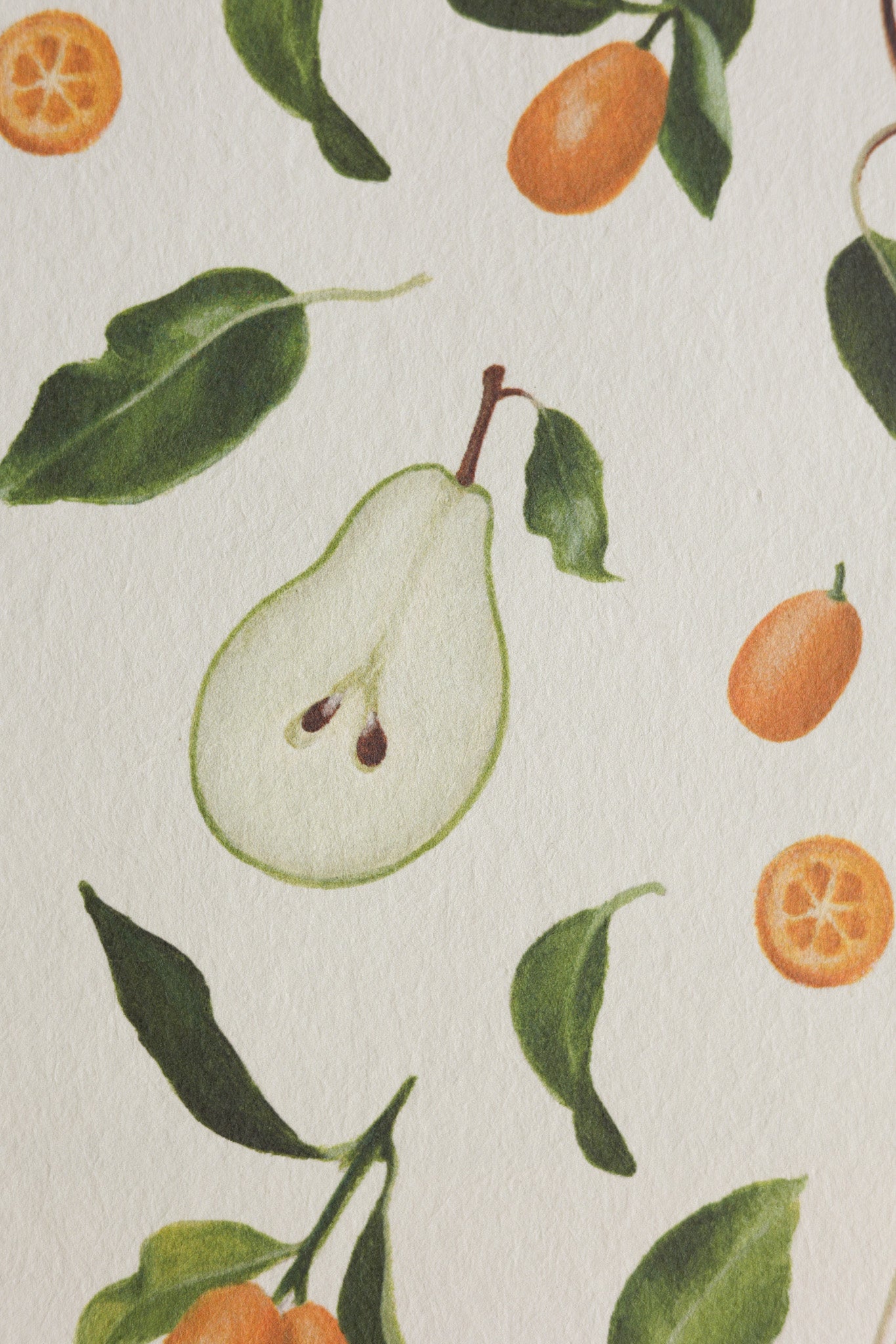 'Pears and Kumquats' wallpaper roll